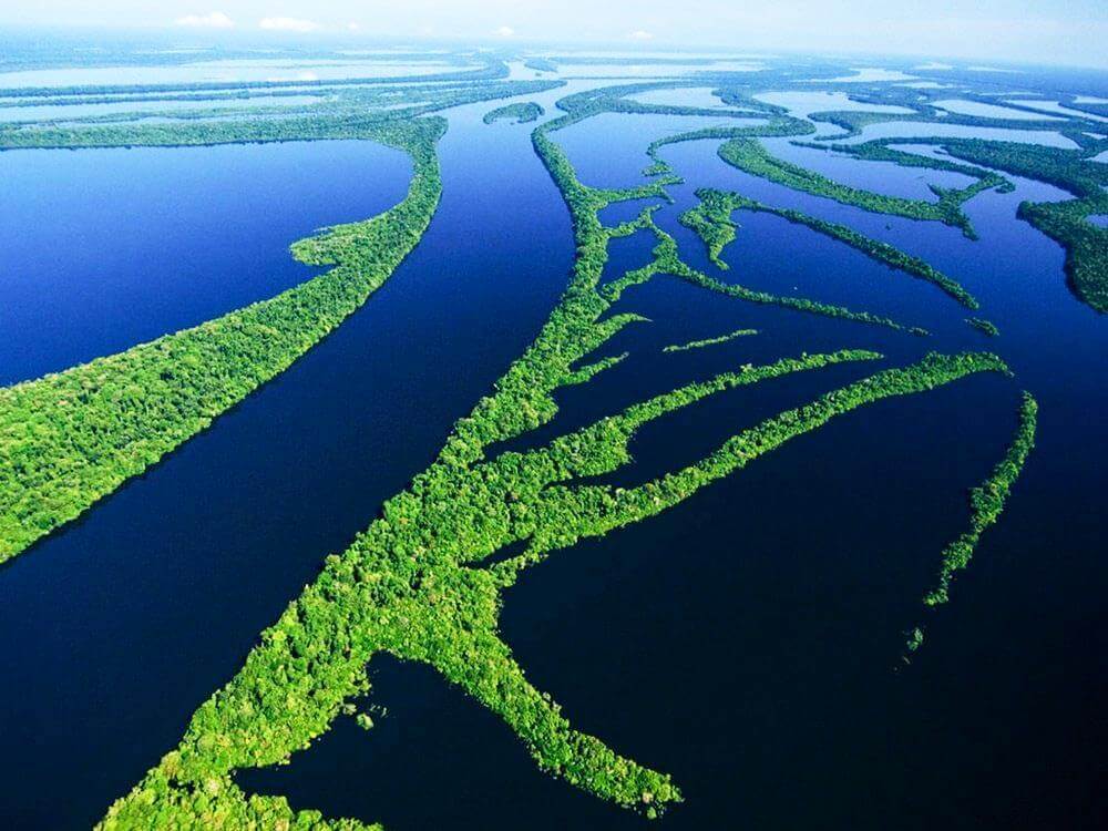 Amazon Forest Brazil