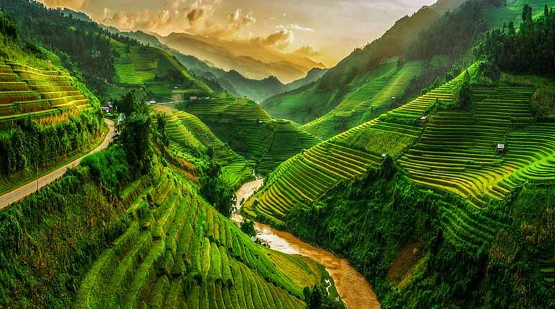 Vietnam Rice Terraces -Luxuria Travel & Events