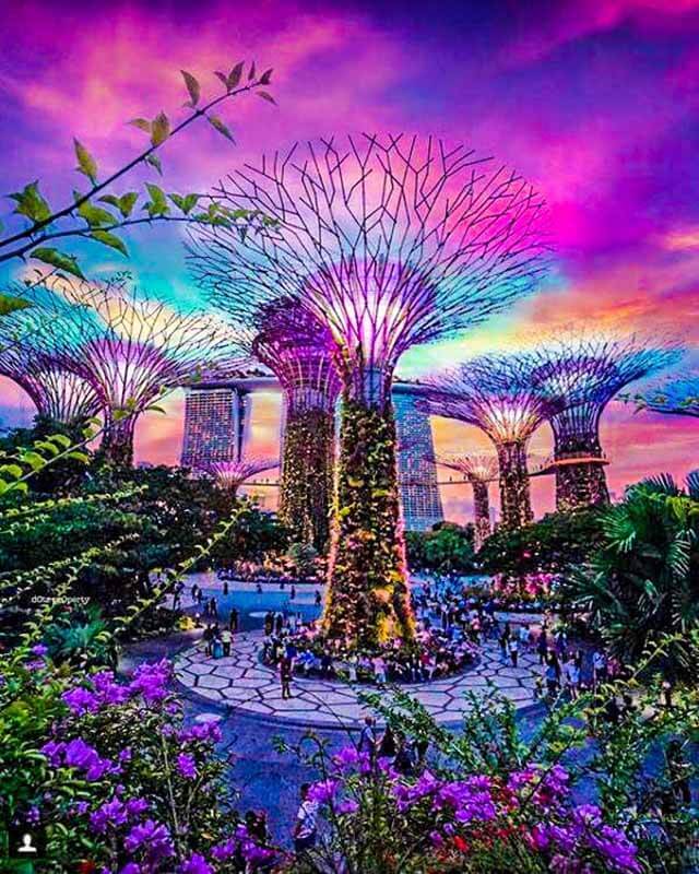 Tropical Park, Singapore